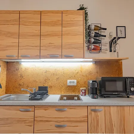 아파트 Klara 류블랴나